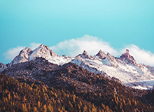 石家庄女篮啦啦队社媒分享舞蹈：28号主场我们不见不散