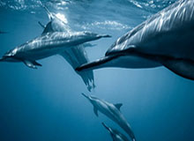 开云中国-【观察】世界女足洗牌了？这是整体的进步