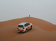 石家庄女篮啦啦队社媒分享舞蹈：28号主场我们不见不散